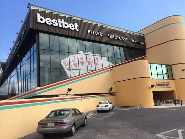 Perforated Window Film and Channel Letters for BestBet in Orange Park — Custom Graphics & Sign Designs