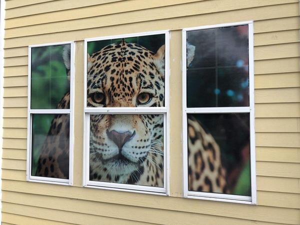 Printed perforated window film — Custom Graphics & Sign Designs, Orange Park FL