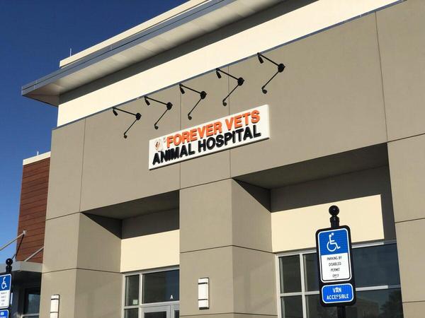 ACM Pan with HDU Dimensional Letters for Forver Vets — Custom Graphics & Sign Designs, Orange Park FL